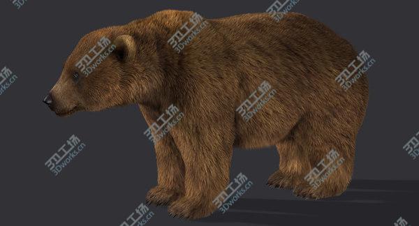 images/goods_img/20210312/Bear (2) (LightBrown) (Rig) (Fur)/5.jpg